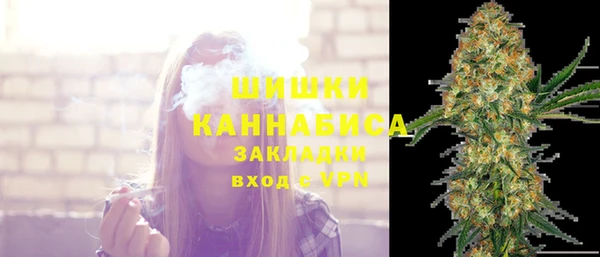 дживик Заводоуковск