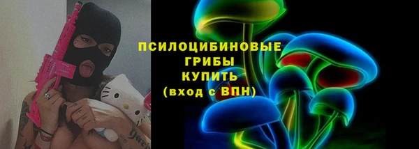хмурый Ельня