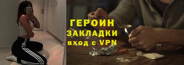 хмурый Ельня