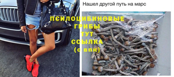 хмурый Ельня