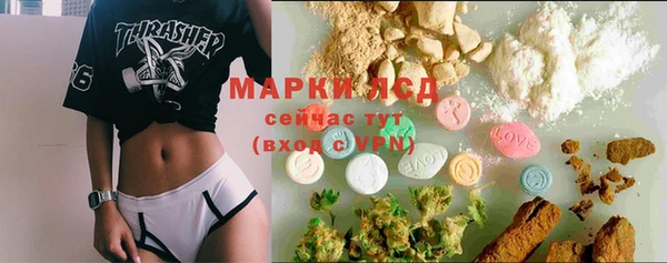хмурый Ельня