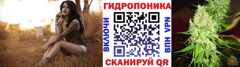 Шишки марихуана White Widow  Купить где  Тихвин 